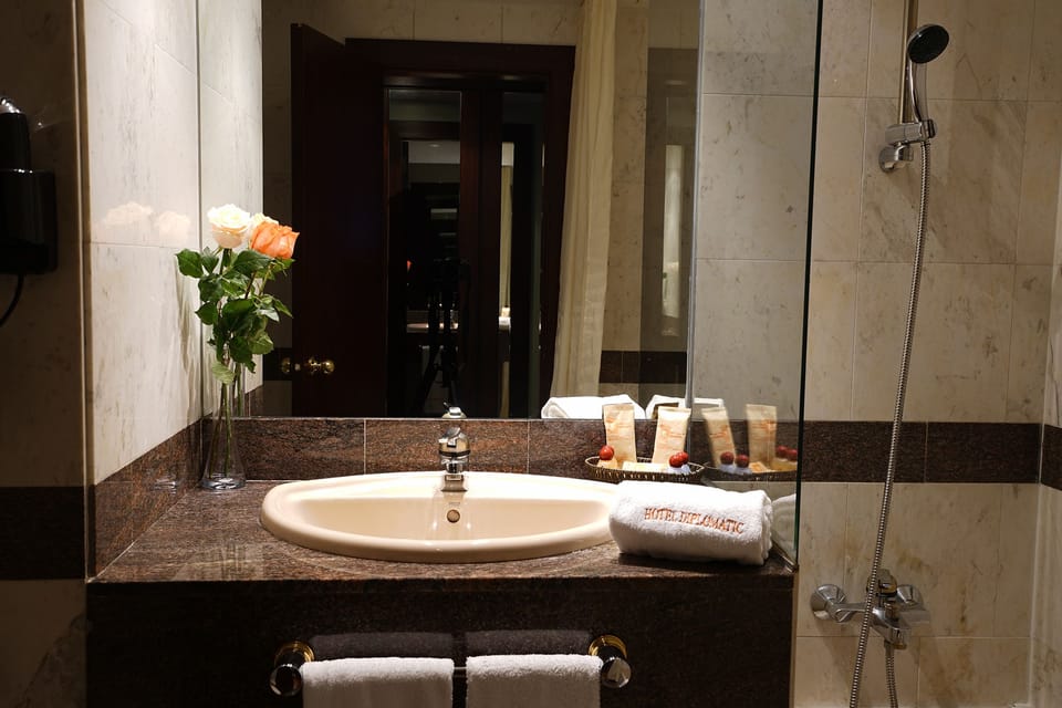 Hair dryer, bidet, towels