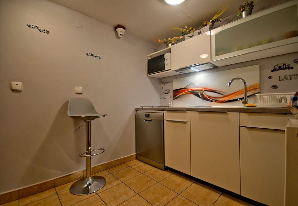 Fridge, microwave, stovetop, dishwasher