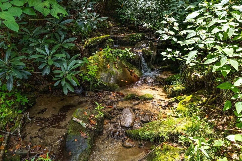 Mountain Stream