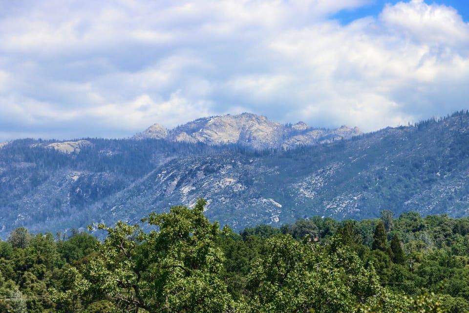 mountainviews.JPG