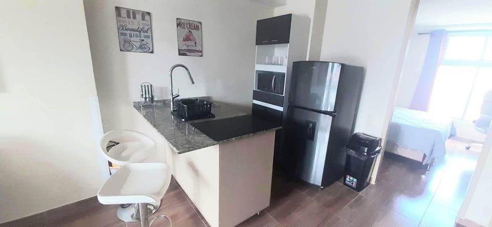 Full-size fridge, microwave, stovetop, rice cooker