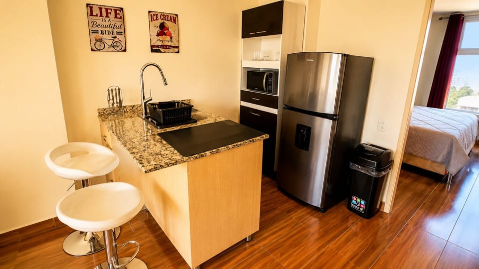 Full-size fridge, microwave, stovetop, rice cooker