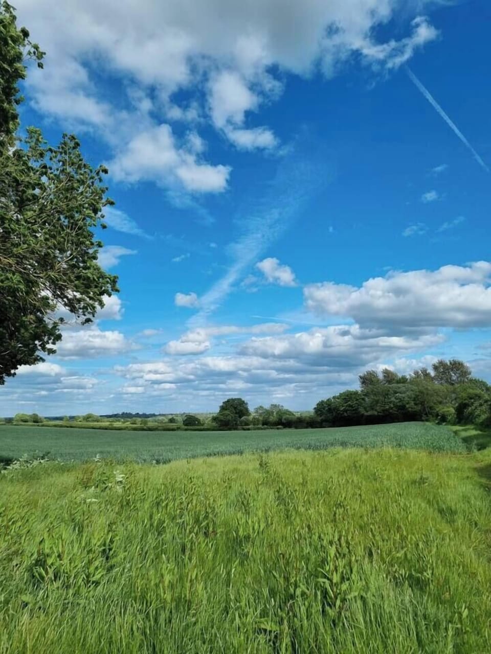 1dddca31-1863-4ddf-bf73-875d9312c0c2