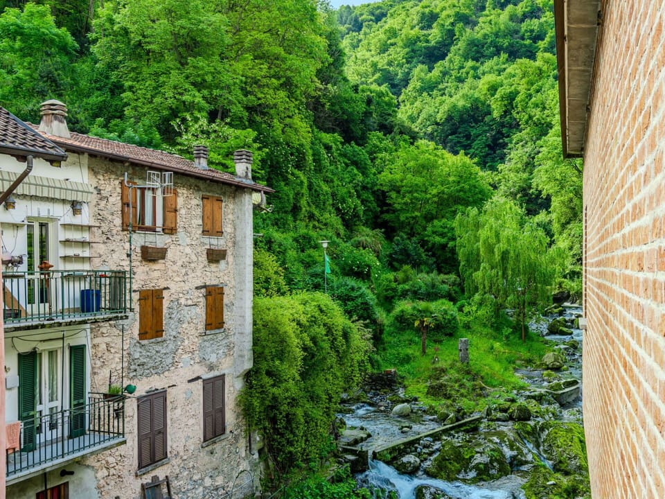 Building, Window, Plant, Tree, Vegetation, Water, Biome, Neighbourhood, House, Residential Area