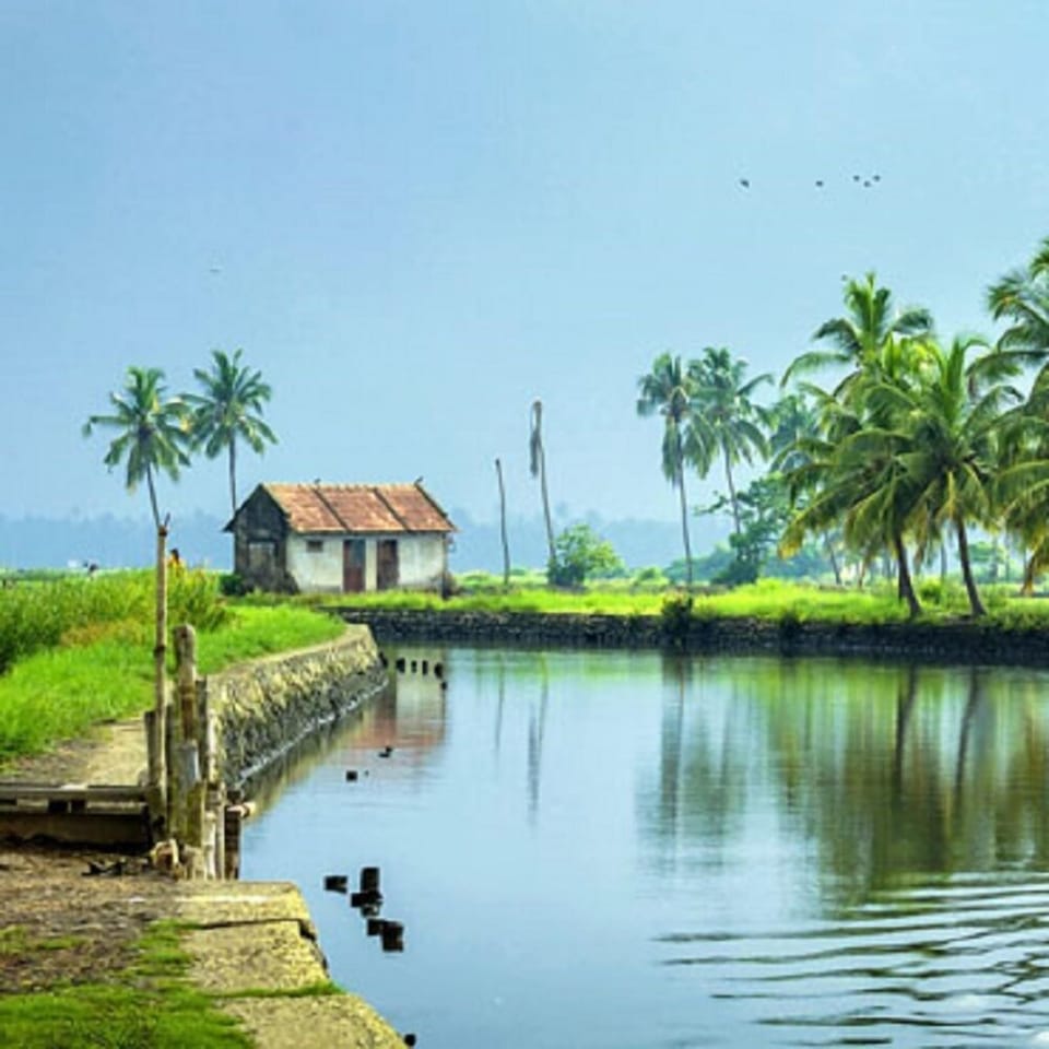 Natural pool