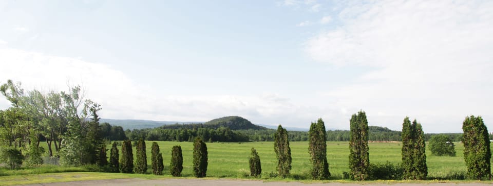 View from property
