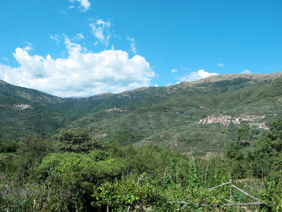 Mountainous Landforms, Leaf, Mountain, Vegetation, Hill, Natural Landscape, Highland, Plant Community, Hill Station, Wilderness
