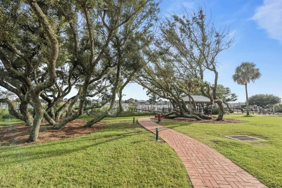 Green Space by the docks and Pavillion.  There are Grills out there and also the boat ramp