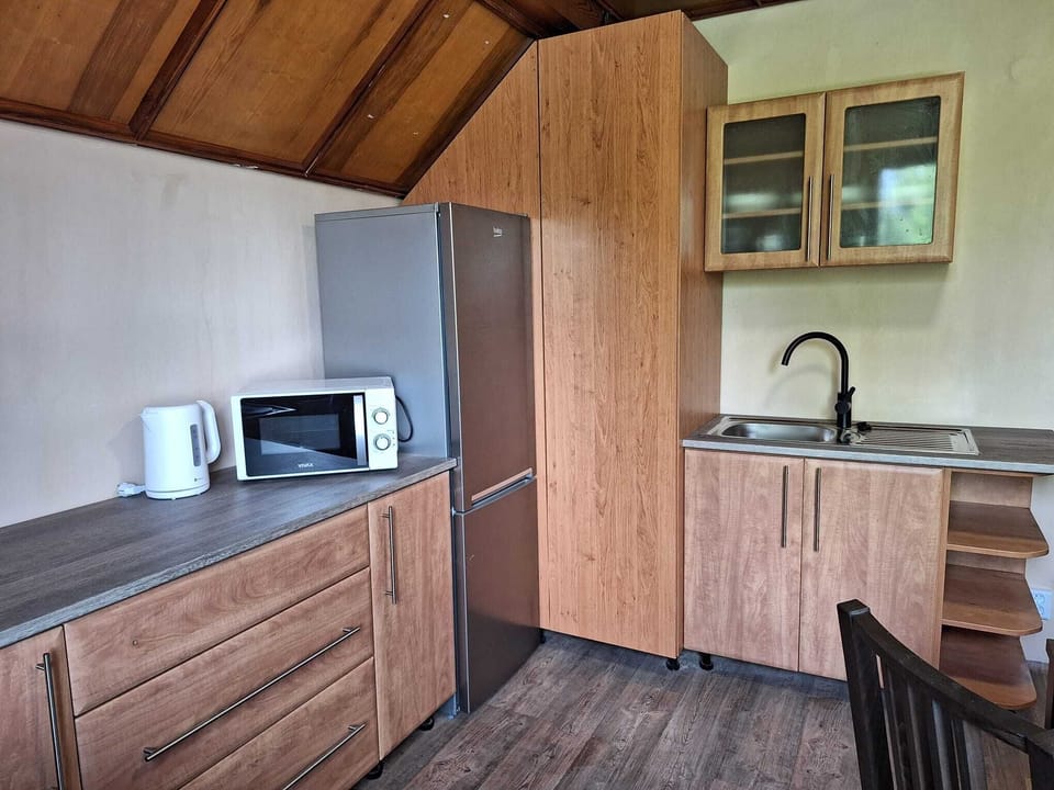 Standard Apartment | Private kitchen
