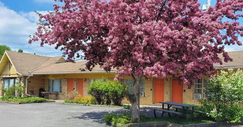Loft avec accès direct au stationnement en face de votre porte