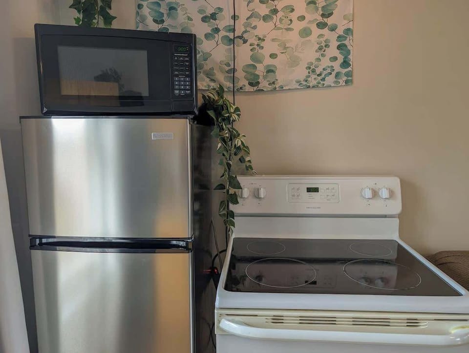 Appareils modernes, touches de verdure et lumière naturelle pour cuisiner avec plaisir.