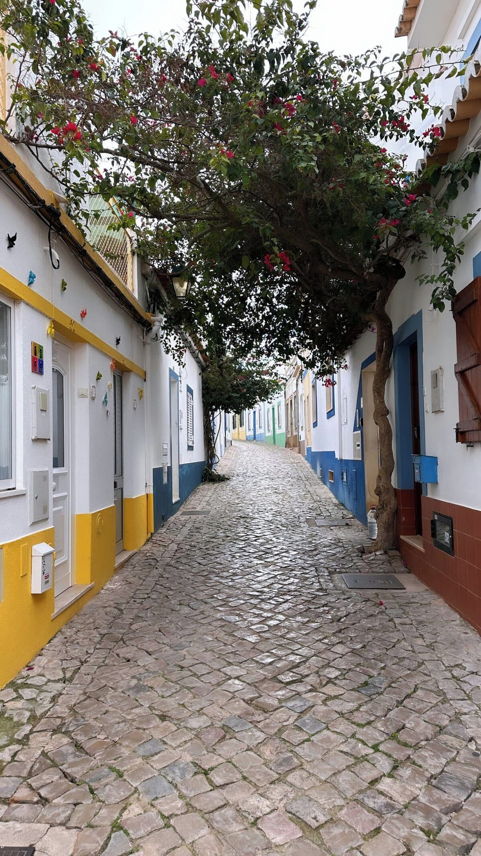 Typical Street of "Old" Portimao