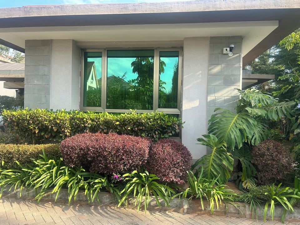 Lush garden
