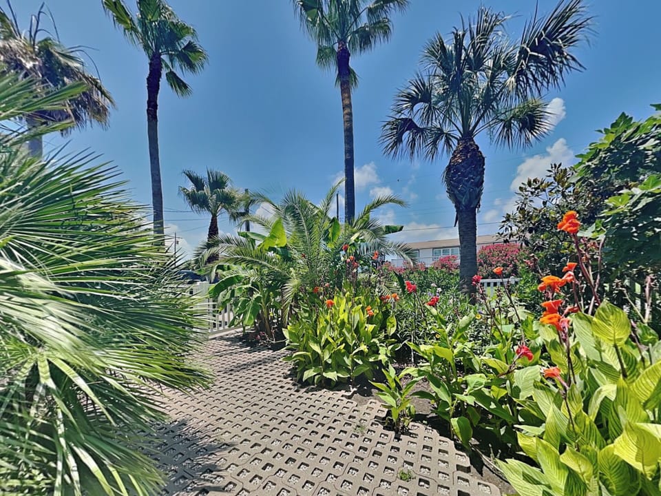 House (3 Bedrooms) | Property amenity