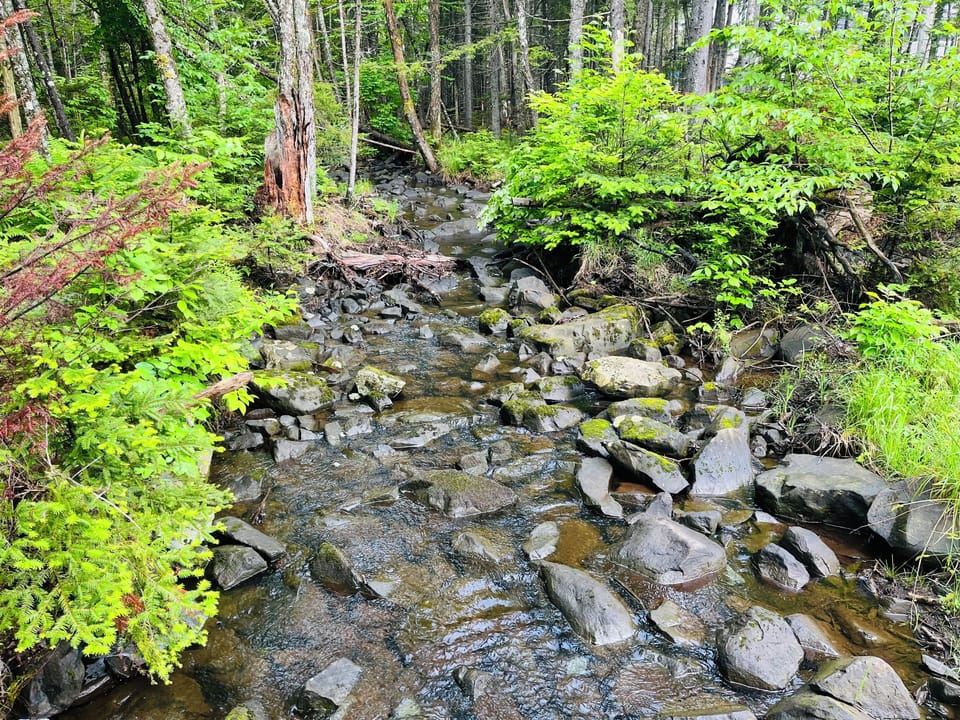 Very close by Trail view