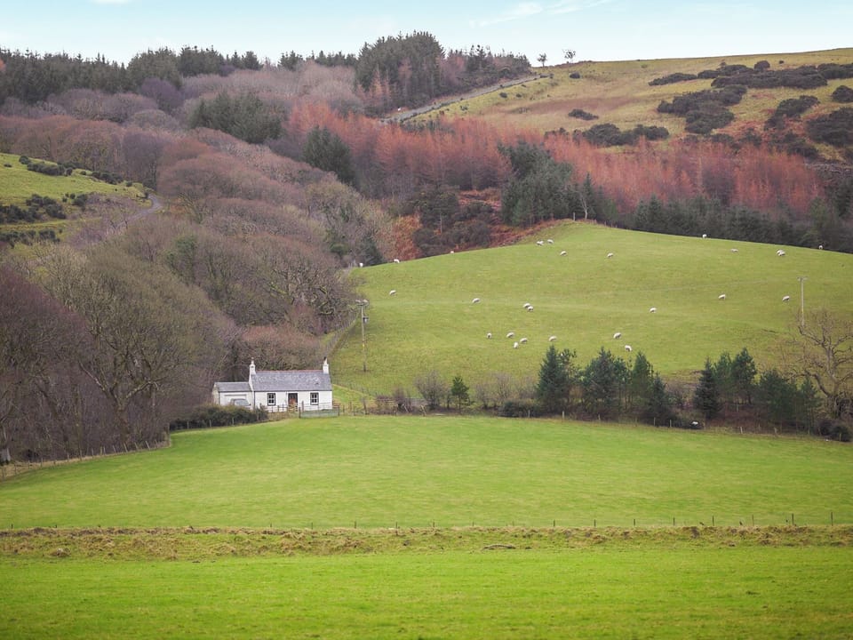 Setting | Professors Cottage, Girvan