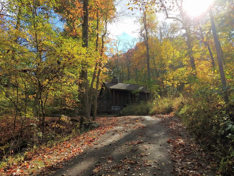Approaching view to Cabin #4