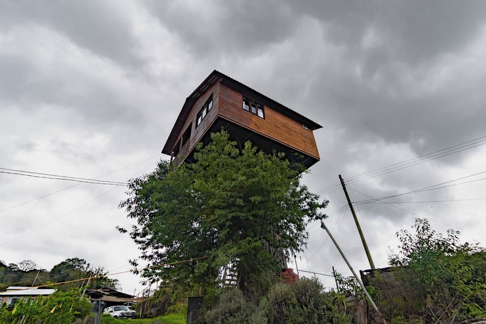 Panoramic Tree House, Mountain View | Down comforters, bed sheets