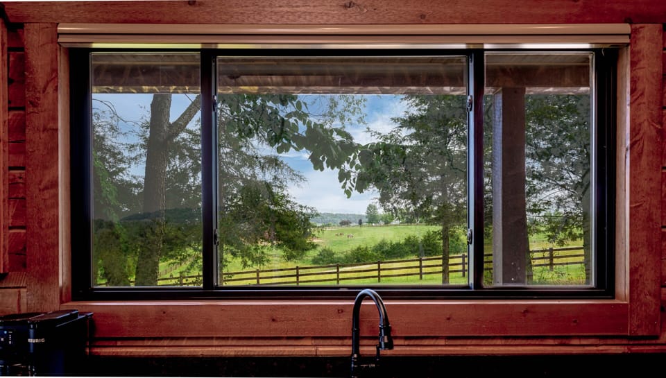 Kitchen view of the horses in the pasture next door