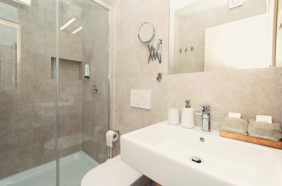Double Room | Bathroom | Shower, rainfall showerhead, eco-friendly toiletries, hair dryer