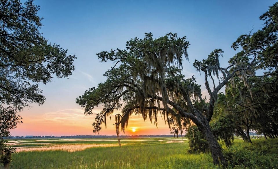 Where the marsh meets the sky