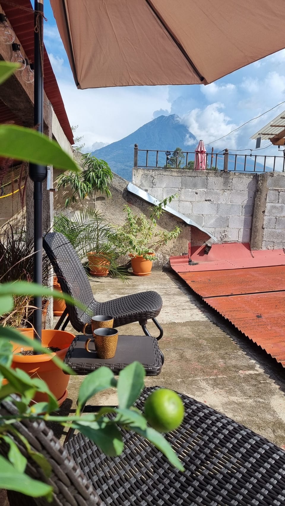Terrace/patio