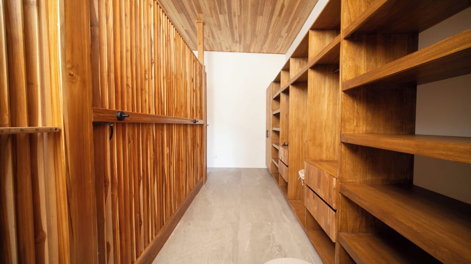 Primary walk-in closet