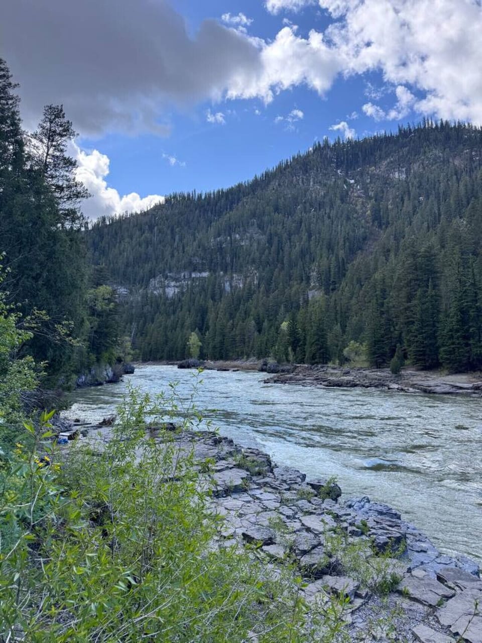 View of the River