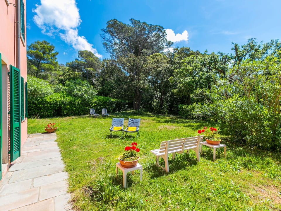 Blue, Shrub, Garden, Groundcover, Lawn, Shade, Landscaping, Yard, Botanical Garden, Backyard
