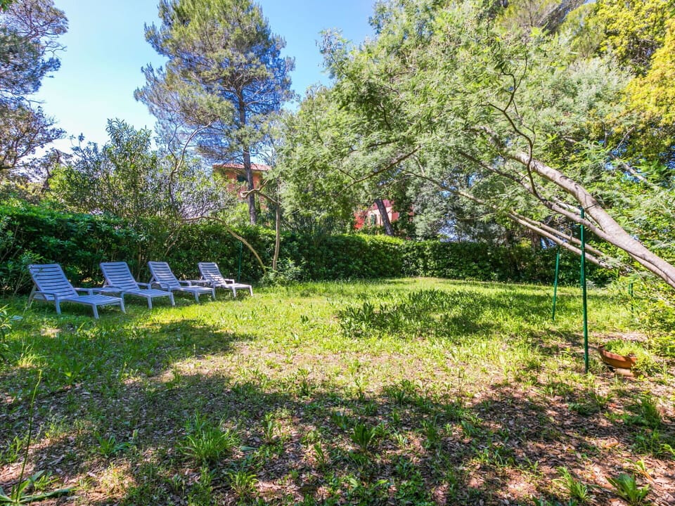 Tree, Vegetation, Shrub, Garden, Land Lot, Lawn, Shade, Groundcover, Spring, Sunlight