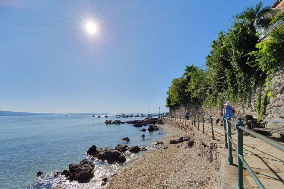 Activities, Autumn, Spring, Summer