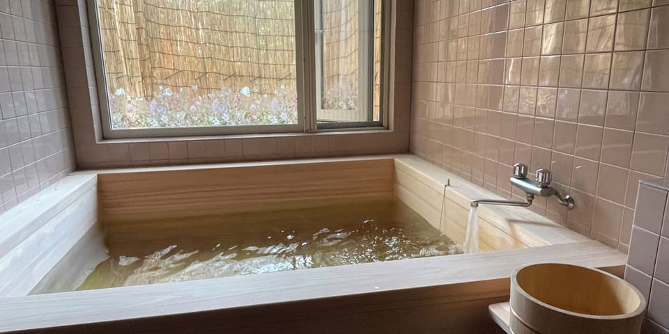Separate tub and shower, hair dryer, slippers, towels