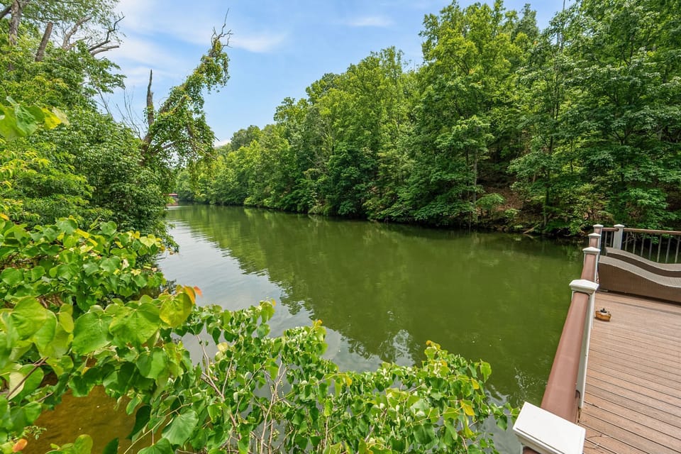 Lush greenery and lake beside the dock.