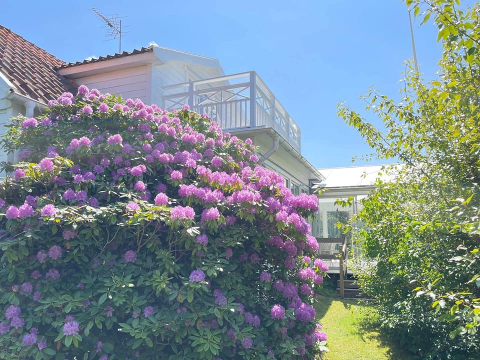 House | Exterior