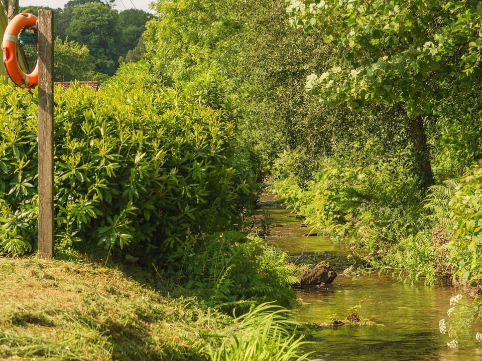Green, Natural Environment, Leaf, Vegetation, Natural Landscape, Shrub, Plant Community, Bank, Nature Reserve