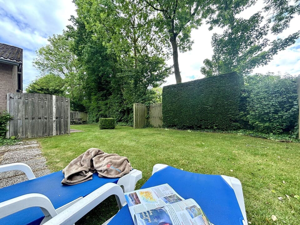 Shrub, Garden, Lawn, Backyard, Shade, Landscaping, Yard, Park, Evergreen