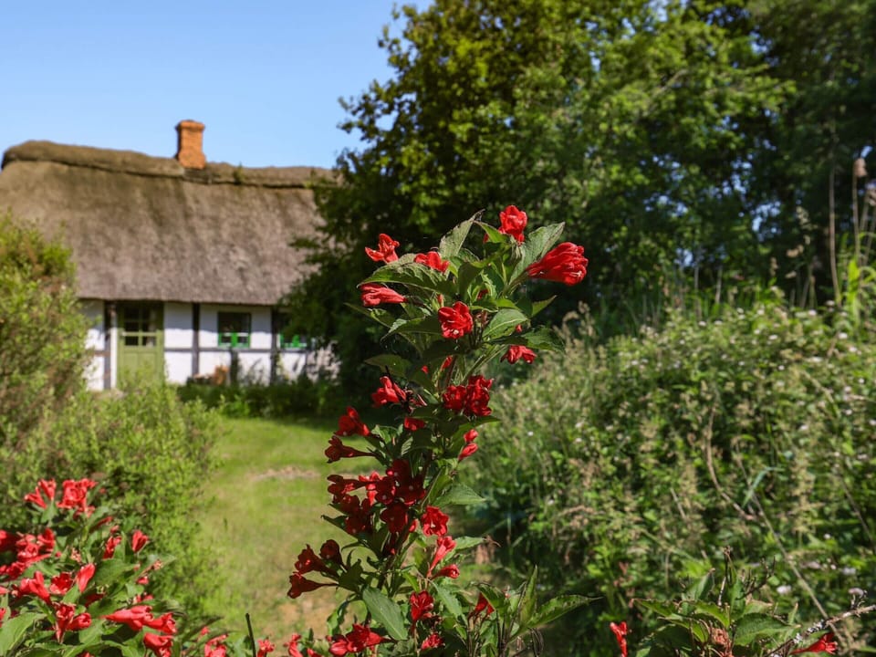 House | View from property