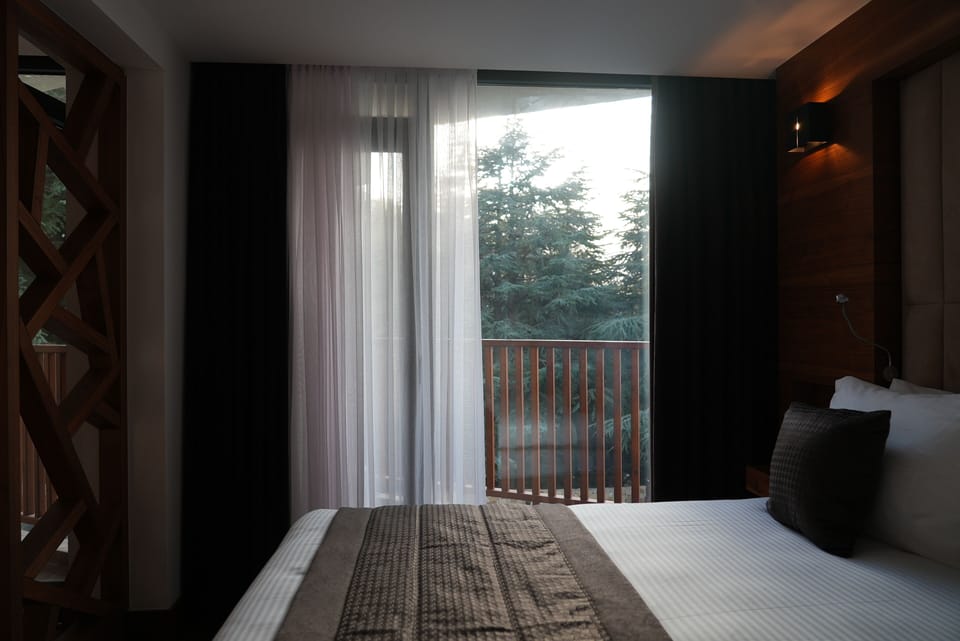 Classic Double Room, Balcony, Mountain View | WiFi (free)