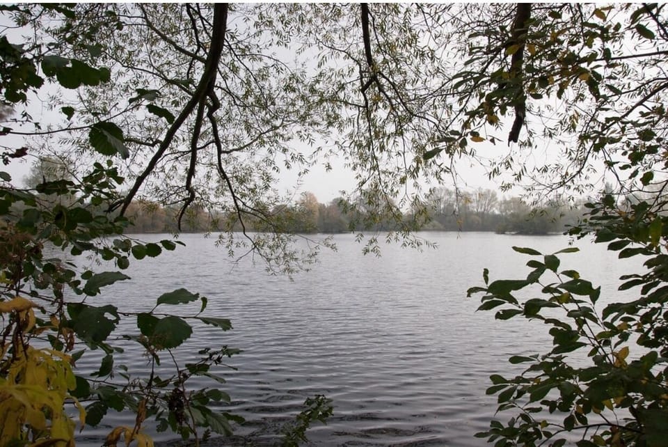 Image 13