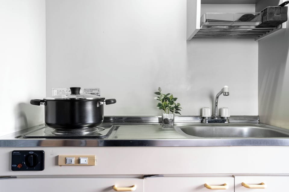 Full-size fridge, microwave, stovetop, electric kettle