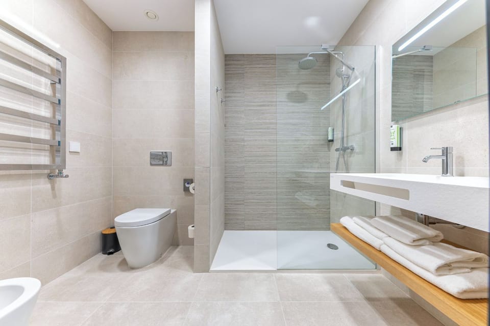 Basic Double or Twin Room, City View | Bathroom | Shower, hair dryer, bidet, towels