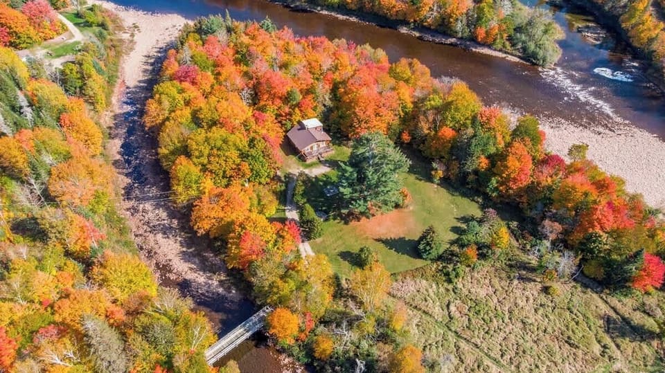 An aerial view of the lush land surrounding the cabin.