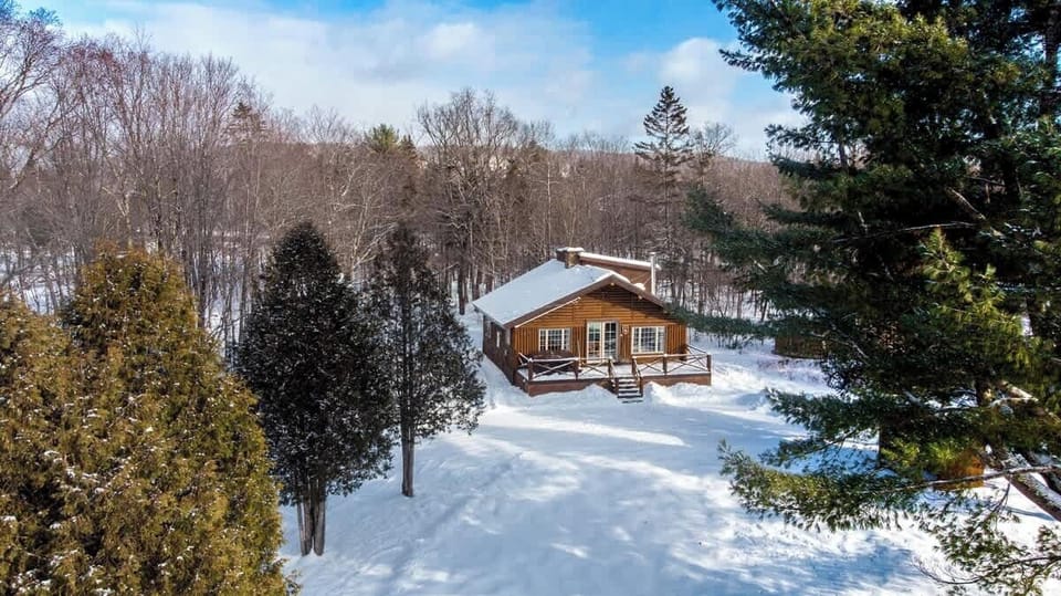 The peaceful winter view of the cabin tucked in the forest.