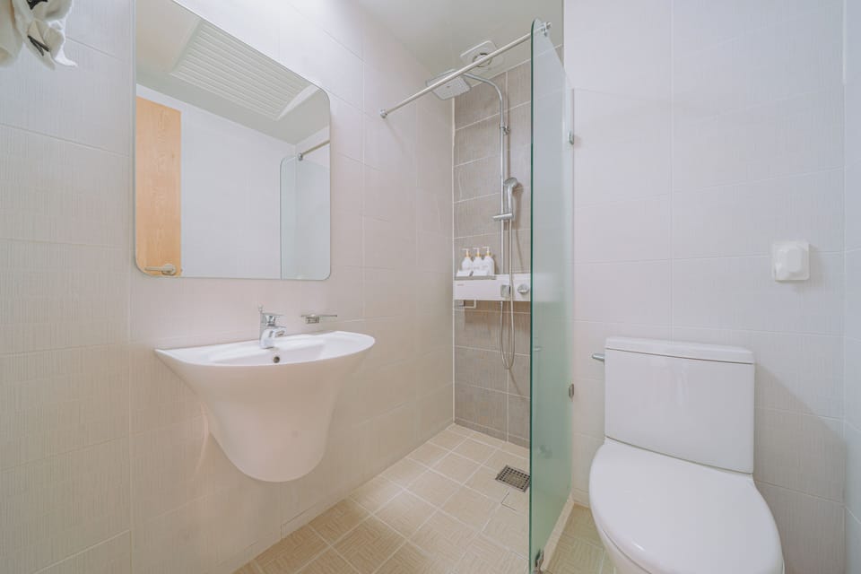 Hair dryer, slippers, towels, soap