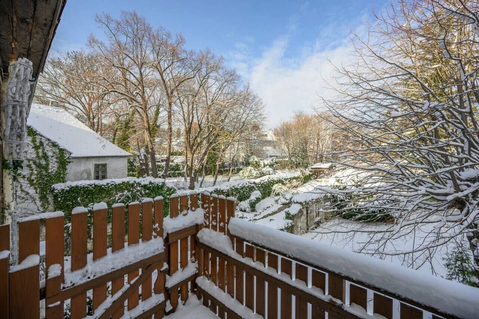 Superior Apartment | Terrace/patio