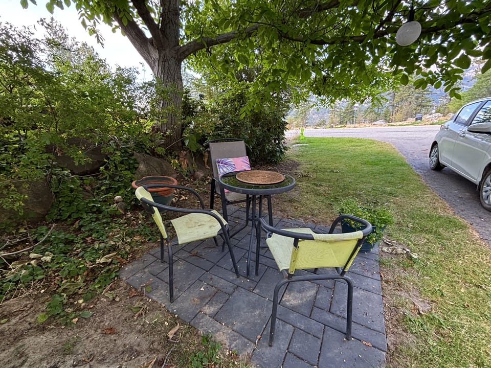 Seating area under the walnut tree.