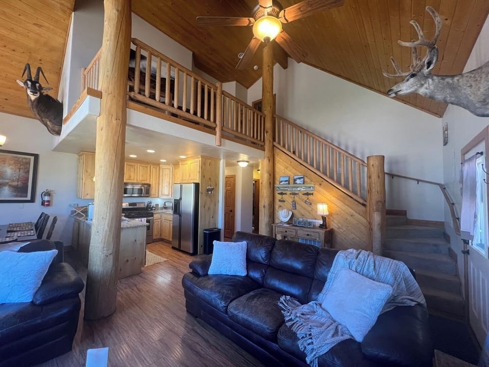 Main Level Living area