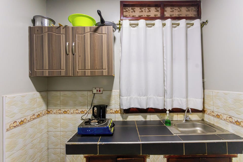 Luxury Apartment, Balcony | Private kitchen | Microwave, oven, cookware/dishes/utensils