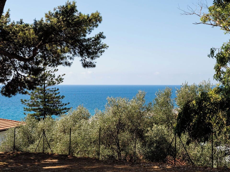 Blue, Leaf, Sea, Coast, Ocean, Coastal And Oceanic Landforms, Shore, Tropics, Beach, Bay
