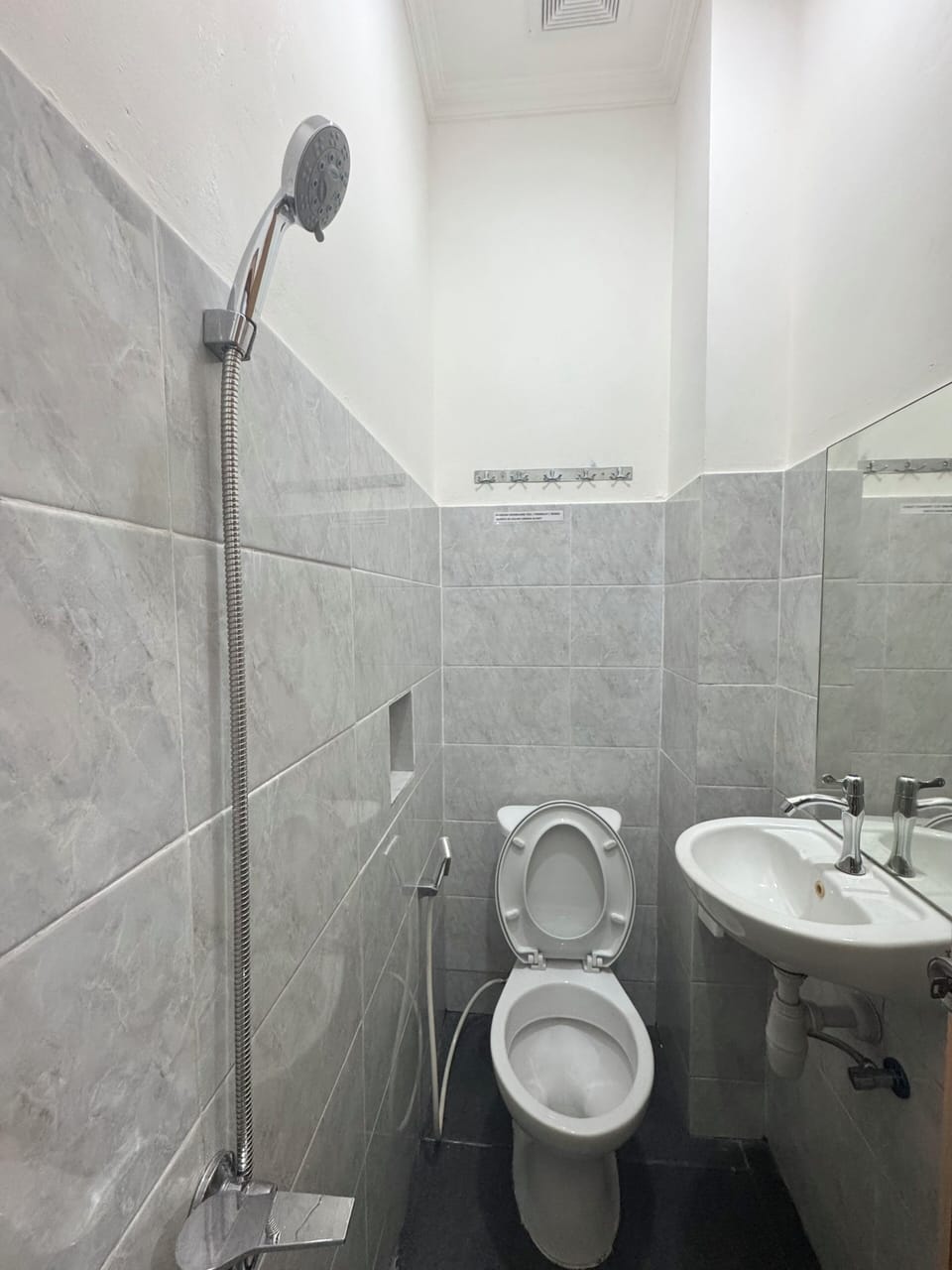 Shower, bidet, towels, soap